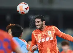 山东泰山内部会议纪要流出——窗口期状态回暖，欧冠使命明确，临场指挥获称赞的简单介绍